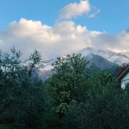 En&gi Tatil Evi *